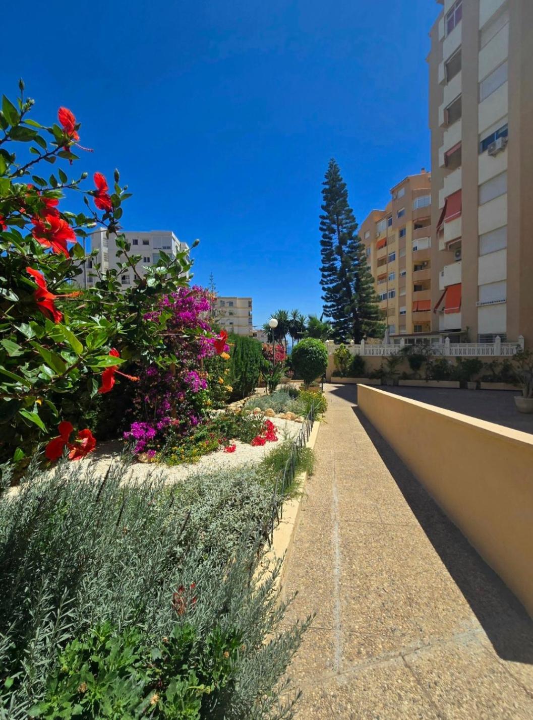 Mikasika - Duplex Apartment With Seasonal Swimming Pool & Walking Distance From The Beach La Cala Del Moral Екстер'єр фото